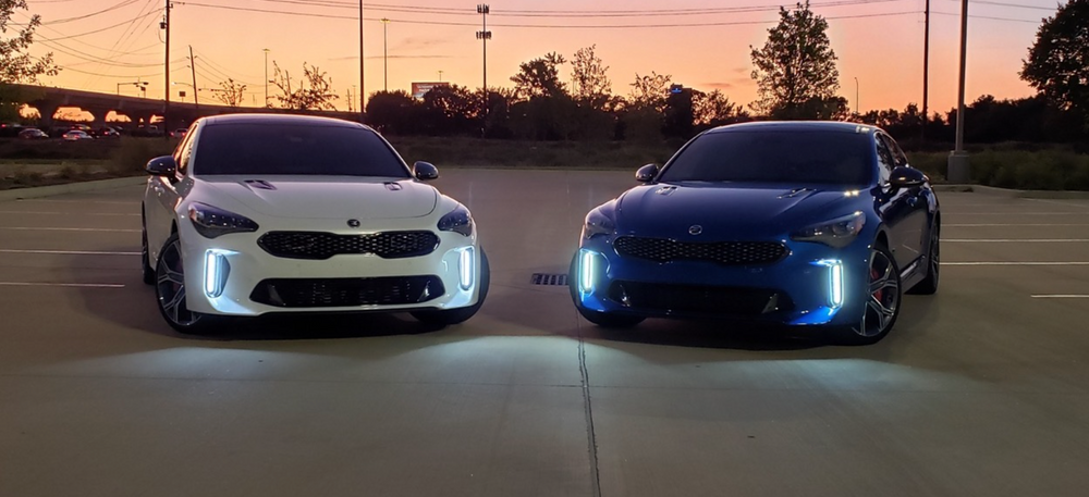 
                  
                    CK71 LED DRLs for 2018+ Kia Stinger GT - 252 Ultra-Bright LEDs, Ultra-Clear Lens, Waterproof Design - Optional Plug-and-Play Connectors Available
                  
                